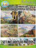 {FREE} 10 Prehistoric Stock Photos Pack — Includes Commerc