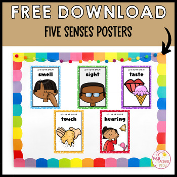 Five Senses Posters FREE DOWNLOAD by Tech Teacher Pto3 | TPT