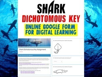 Preview of *FREE* Digital Shark Dichotomous Key for Biology & Zoology