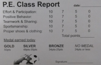 Preview of *FREE* Physical Education Class Report: Grades K-6