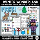 *FREE* Winter Wonderland • Fine Motor & Visual Motor • Col