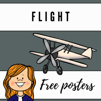 Preview of *FREEBIE* Grade 6 Science - Flight Posters