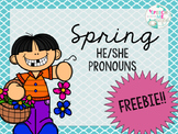 Spring Pronouns