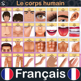 "FRENCH" Human Body Vocabulary Large Posters - LE CORPS HU