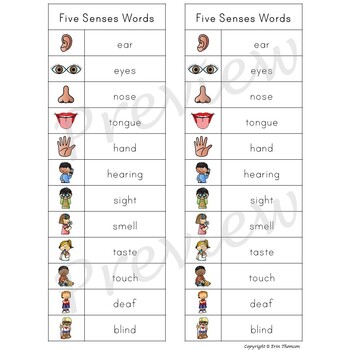 writing center word list five senses words tpt