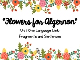 "Flowers for Algernon" Grammar Practice (The Writing Revol