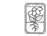 "Free" Seed to Plant Booklet