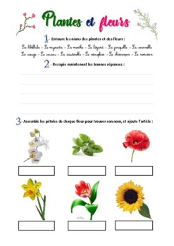 french flowers names
