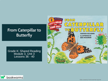 Preview of "From Caterpillar to Butterfly" Google Slides- Bookworms Supplement