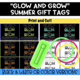 NEON Theme "Glow and Grow" End of the Year Summer Classroo