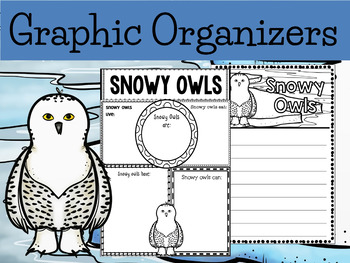 Preview of  Graphic Organizers Bundle :  Snowy Owls  - Polar and Arctic Animals