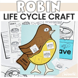 Robin Life Cycle | Bird Life Cycle Craft | Life Cycle of a Robin