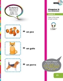 Animals Activity (Spanish resource)