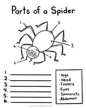 Preview of (Halloween) Parts of a Spider Worksheet