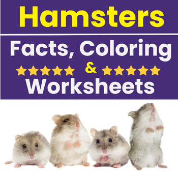 Hamster Facts: Lesson for Kids