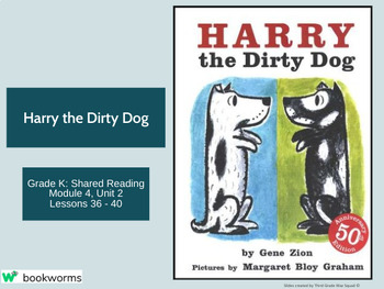 Preview of "Harry the Dirty Dog" Google Slides- Bookworms Supplement
