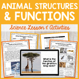 Animal Structures & Functions Lesson Plan, Adaptations Sci