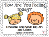 "How Are You Feeling?" Emotions and Moods