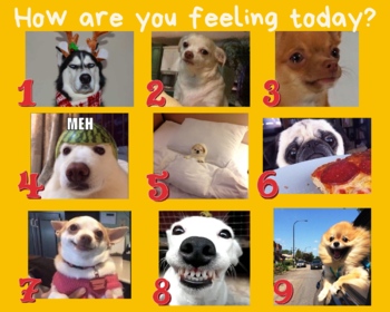 How Are You Feeling Today