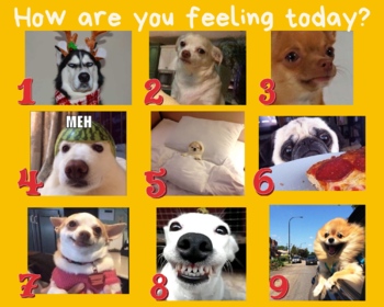 How Are You Feeling Today Worksheets Teaching Resources Tpt