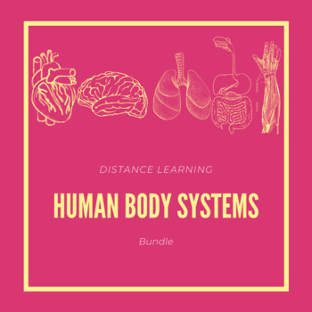 Preview of Human Body Systems Activities with Bonus Warm Ups!