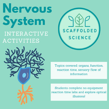 Human Body Systems: Nervous System Activities by Scaffolded Science