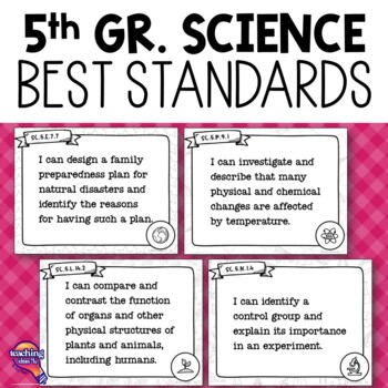 Preview of 5th Grade Science Florida Standards "I Can" Posters BEST