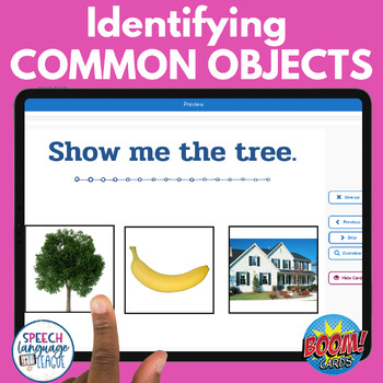 Preview of Identifying Common Objects Nouns Basic Concepts Speech No Prep Boom Cards