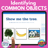 Identifying Common Objects Nouns Basic Concepts Speech No 
