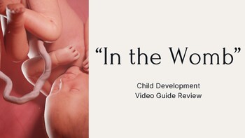 Preview of "In the Womb" Video Review PPT - Child Development