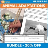 Advanced Animal Adaptations Project - Interdisciplinary Un