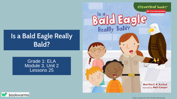 Preview of "Is a Bald Eagle Really Bald?" Google Slides- Bookworms Supplement