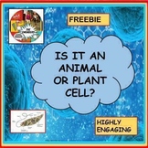 "Is it an Animal or Plant Cell?" Free Lesson Plan
