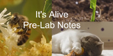 "It's Alive" Pre-Lab Notes
