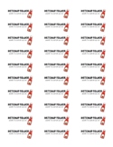 "Ketchup" Folder Labels FREEBIE (Avery 1" x 2 5/8")