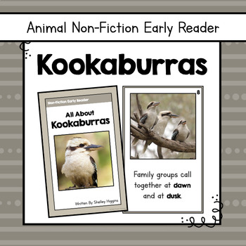 Preview of "Kookaburra" | Animal Nonfiction Early Reader Book and Comprehension Questions