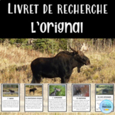  L'orignal: Livret de recherche animaux (French animal res