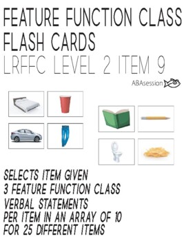 Preview of (LRFFC 9M) Feature Function Class Flash Cards