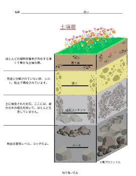 Preview of 土壌層 | Layers of Soil in Japanese