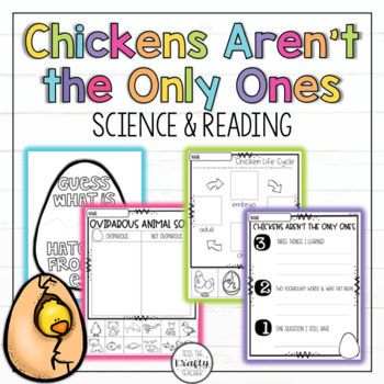 Preview of Oviparous Animals | Chickens Aren't the Only Ones | Chicken Life Cycle Worksheet