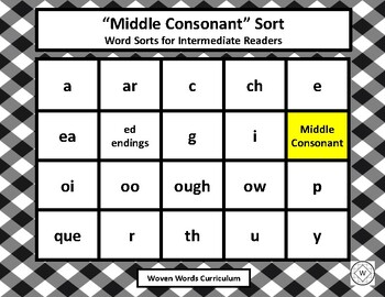 Preview of "Middle Consonant" Sort - Word Sorts for Intermediate Readers