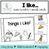 I Like Writing Activity  - Mini Book & Word Wall Cards