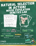 Natural Selection Lab: Mouse Population Genetics