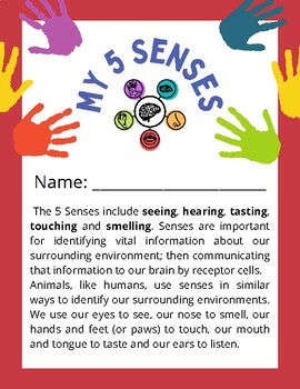 Preview of "My 5 Senses" 20 PAGES, FUN & EDUCATIONAL