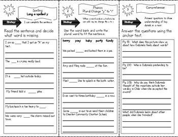 Preview of "My Name is Gabriela" Skills Trifold aligned to Journeys Lesson 18