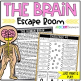 Brain Escape Room | Human Body Organ | Nervous System