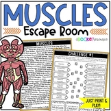 Muscles Escape Room | The Human Body | Muscular System