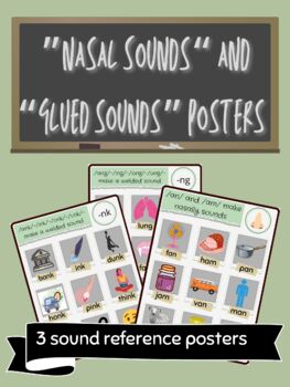 Preview of "Nasal Sounds" (am/an) and -ng/-nk reference posters