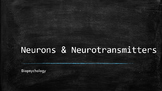 "Neurons and Neurotransmitters" Psychology PowerPoint