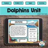  Ocean Animals: Dolphins Life Cycle Digital Unit for Googl
